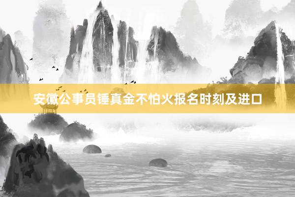 安徽公事员锤真金不怕火报名时刻及进口
