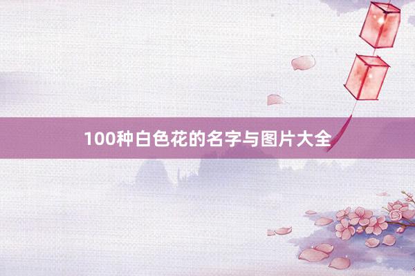 100种白色花的名字与图片大全